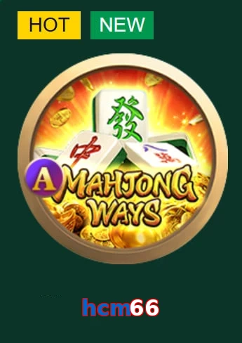 hcm66