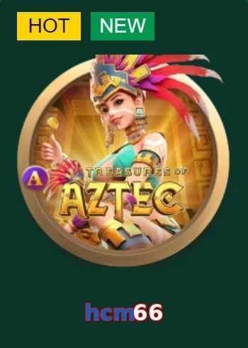 hcm66