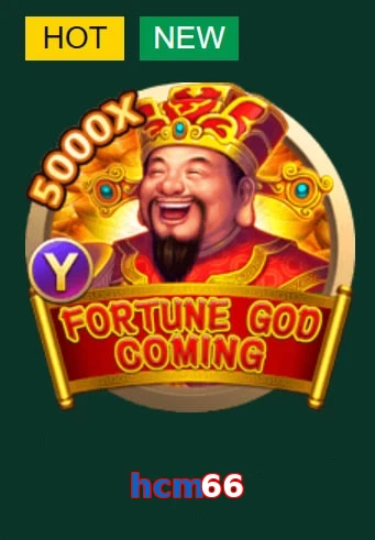 hcm66